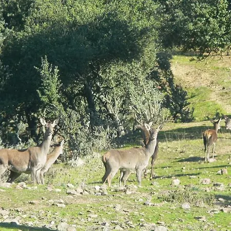 Finca Serena